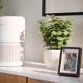 The Best Placement for Your Air Purifier