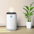 How Long Does It Take an Air Purifier to Clean a House?