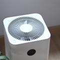 The Pros and Cons of Air Purifiers: An Expert's Perspective