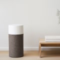 The Truth About Air Purifiers: Do They Really Work Immediately?