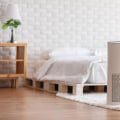 The Truth About Air Purifiers and Your Lungs