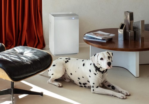 The Pros and Cons of Air Purifiers: An Expert's Perspective